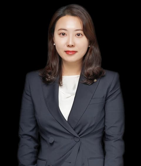 안산친권/양육권/면접교섭권변호사 undefined